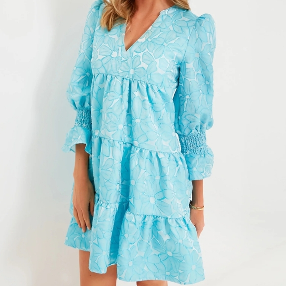 🏷️Tuckernuck Pomander Place Blue Daisy Jacquard Kenzo Tiered Dress XXXL - Picture 4 of 12